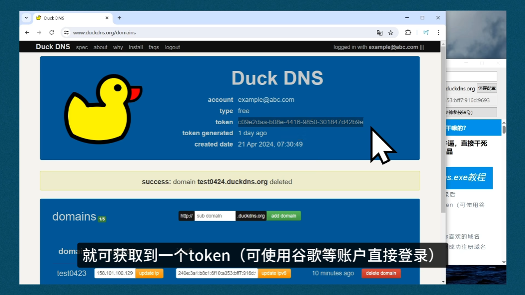 Duck Dns操作界面